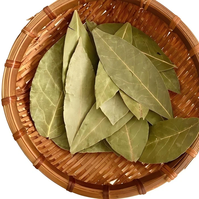 Dried Laurel Leaves Dried Laurel Leaves
